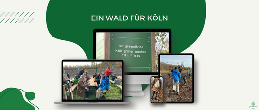 „Ein Wald für Köln“ - Wir pflanzen mit!